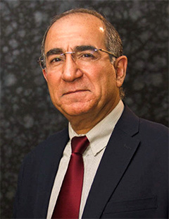 Ali H Mardan, PhD, MD, RPVI, FACP 